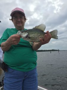 Crappie fishing with DSP Guide Service